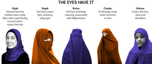 Burqa infographic