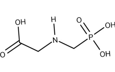 From Controversy Over Scientific Independence to Economic Matters: How the Glyphosate Controversy Shapes European Decisions